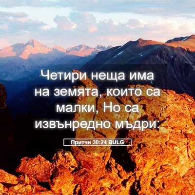 Picture 05 - Притчи 30:24 BULG - Четири неща има на земята, - Bible Verse Picture