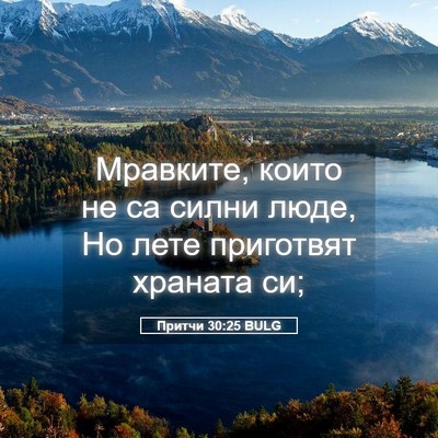 Picture 05 - Притчи 30:25 BULG - Мравките, които не са силни - Bible Verse Picture