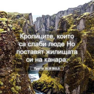 Picture 05 - Притчи 30:26 BULG - Кролиците, които са слаби - Bible Verse Picture