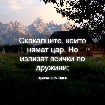 Picture 05 - Притчи 30:27 BULG - Скакалците, които нямат - Bible Verse Picture