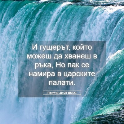 Picture 05 - Притчи 30:28 BULG - И гущерът, който можеш да - Bible Verse Picture