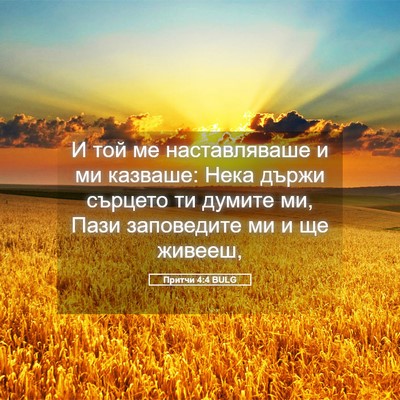Picture 05 - Притчи 4:4 BULG - И той ме наставляваше и ми - Bible Verse Picture