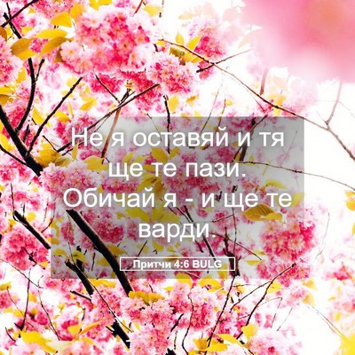 Picture 05 - Притчи 4:6 BULG - Не я оставяй и тя ще те - Bible Verse Picture