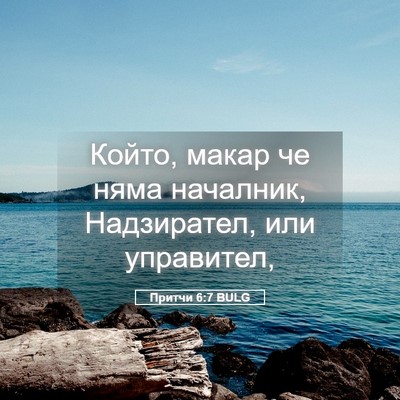 Picture 05 - Притчи 6:7 BULG - Който, макар че няма - Bible Verse Picture
