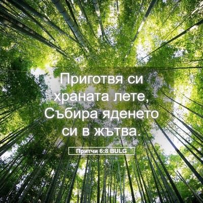 Picture 05 - Притчи 6:8 BULG - Приготвя си храната лете, - Bible Verse Picture