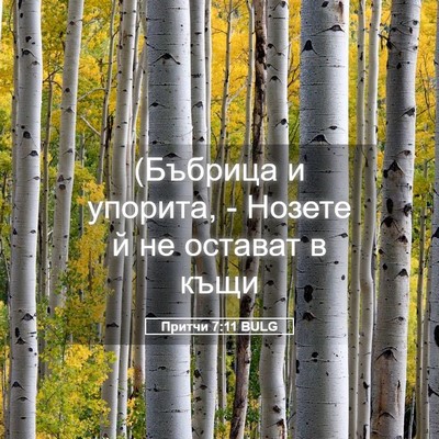 Picture 05 - Притчи 7:11 BULG - (Бъбрица и упорита, - Нозете - Bible Verse Picture