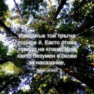 Picture 05 - Притчи 7:22 BULG - Изведнъж той тръгна подире - Bible Verse Picture