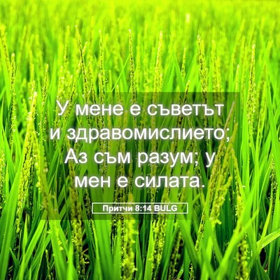 Picture 05 - Притчи 8:14 BULG - У мене е съветът и - Bible Verse Picture