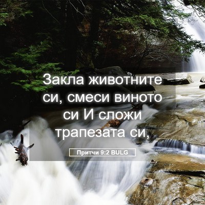 Picture 05 - Притчи 9:2 BULG - Закла животните си, смеси - Bible Verse Picture