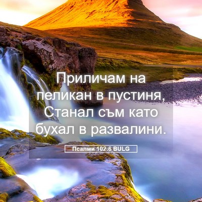 Picture 05 - Псалми 102:6 BULG - Приличам на пеликан в - Bible Verse Picture