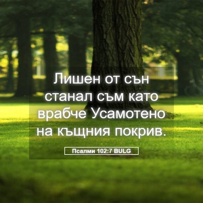 Picture 05 - Псалми 102:7 BULG - Лишен от сън станал съм - Bible Verse Picture