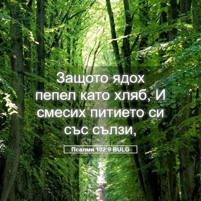 Picture 05 - Псалми 102:9 BULG - Защото ядох пепел като - Bible Verse Picture