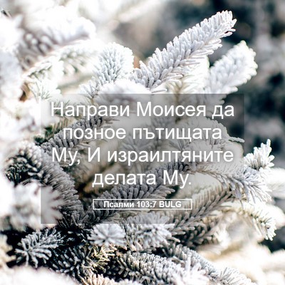 Picture 05 - Псалми 103:7 BULG - Направи Моисея да позное - Bible Verse Picture