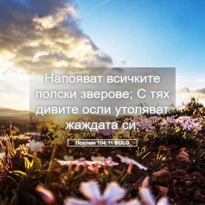 Picture 05 - Псалми 104:11 BULG - Напояват всичките полски - Bible Verse Picture