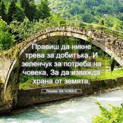 Picture 05 - Псалми 104:14 BULG - Правиш да никне трева за - Bible Verse Picture
