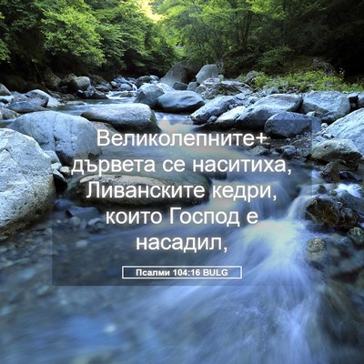 Picture 05 - Псалми 104:16 BULG - Великолепните+ дървета се - Bible Verse Picture