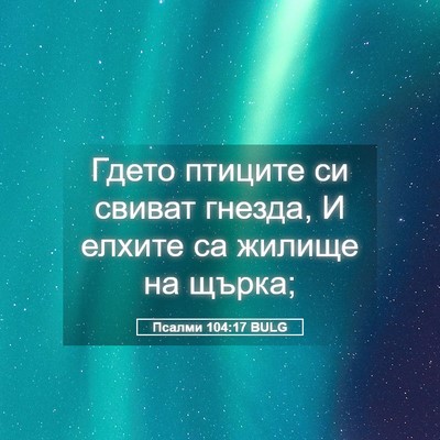 Picture 05 - Псалми 104:17 BULG - Гдето птиците си свиват - Bible Verse Picture