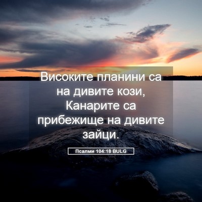 Picture 05 - Псалми 104:18 BULG - Високите планини са на - Bible Verse Picture