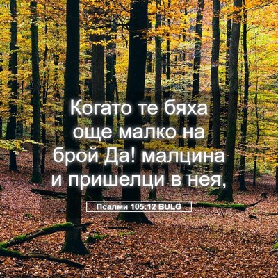 Picture 05 - Псалми 105:12 BULG - Когато те бяха още малко на - Bible Verse Picture