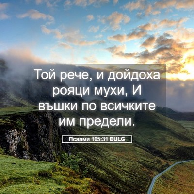 Picture 05 - Псалми 105:31 BULG - Той рече, и дойдоха рояци - Bible Verse Picture