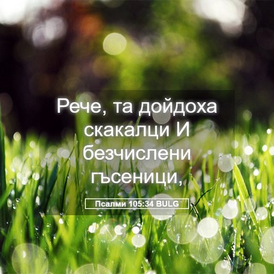 Picture 05 - Псалми 105:34 BULG - Рече, та дойдоха скакалци И - Bible Verse Picture