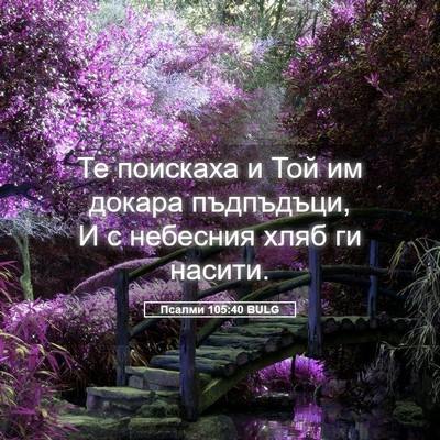 Picture 05 - Псалми 105:40 BULG - Те поискаха и Той им докара - Bible Verse Picture