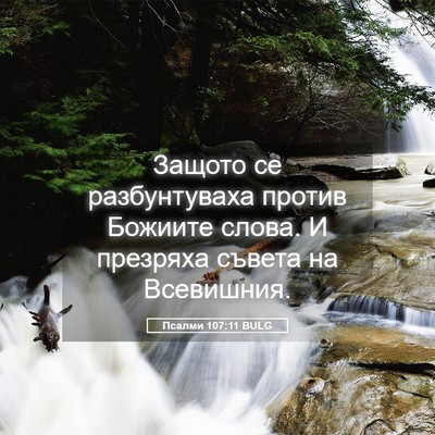 Picture 05 - Псалми 107:11 BULG - Защото се разбунтуваха - Bible Verse Picture