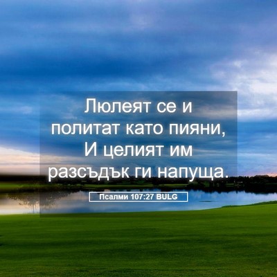 Picture 05 - Псалми 107:27 BULG - Люлеят се и политат като - Bible Verse Picture