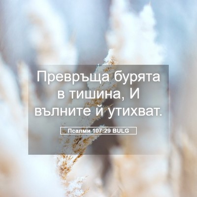 Picture 05 - Псалми 107:29 BULG - Превръща бурята в тишина, И - Bible Verse Picture
