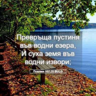 Picture 05 - Псалми 107:35 BULG - Превръща пустиня във водни - Bible Verse Picture