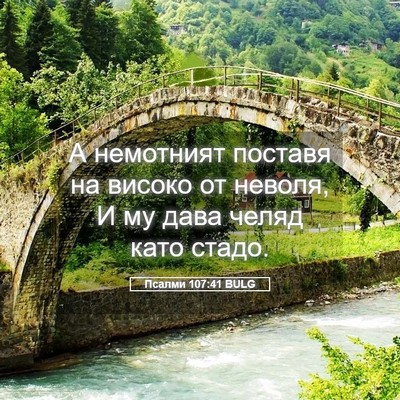 Picture 05 - Псалми 107:41 BULG - А немотният поставя на - Bible Verse Picture