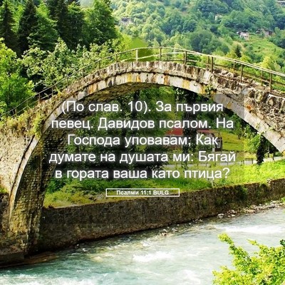 Picture 05 - Псалми 11:1 BULG - (По слав. 10). За първия - Bible Verse Picture