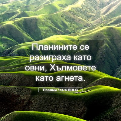 Picture 05 - Псалми 114:4 BULG - Планините се разиграха - Bible Verse Picture