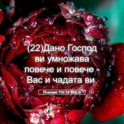 Picture 05 - Псалми 115:14 BULG - (22)Дано Господ ви умножава - Bible Verse Picture