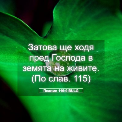 Picture 05 - Псалми 116:9 BULG - Затова ще ходя пред - Bible Verse Picture