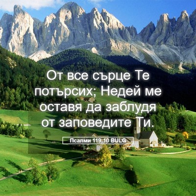 Picture 05 - Псалми 119:10 BULG - От все сърце Те потърсих; - Bible Verse Picture