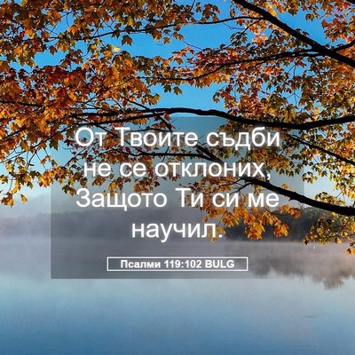 Picture 05 - Псалми 119:102 BULG - От Твоите съдби не се - Bible Verse Picture