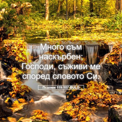 Picture 05 - Псалми 119:107 BULG - Много съм наскърбен; - Bible Verse Picture
