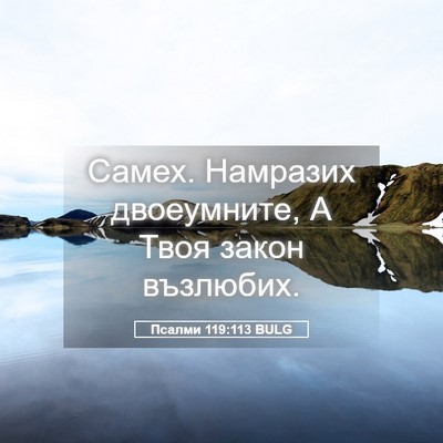 Picture 05 - Псалми 119:113 BULG - Самех. Намразих - Bible Verse Picture