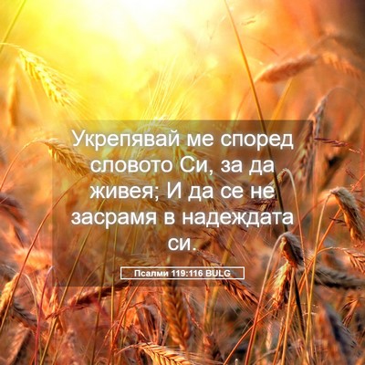 Picture 05 - Псалми 119:116 BULG - Укрепявай ме според - Bible Verse Picture