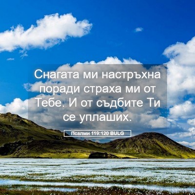 Picture 05 - Псалми 119:120 BULG - Снагата ми настръхна - Bible Verse Picture
