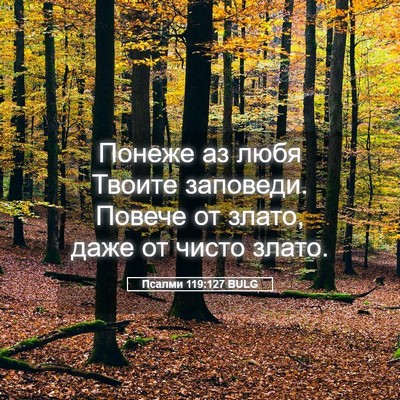 Picture 05 - Псалми 119:127 BULG - Понеже аз любя Твоите - Bible Verse Picture
