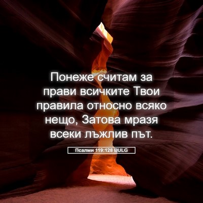 Picture 05 - Псалми 119:128 BULG - Понеже считам за прави - Bible Verse Picture