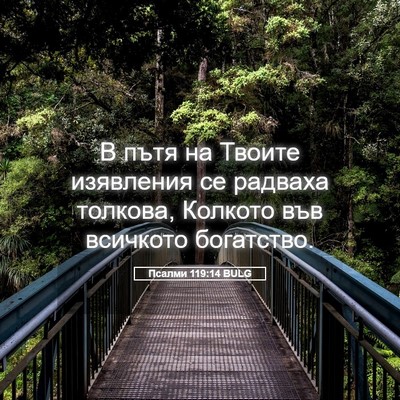Picture 05 - Псалми 119:14 BULG - В пътя на Твоите изявления - Bible Verse Picture