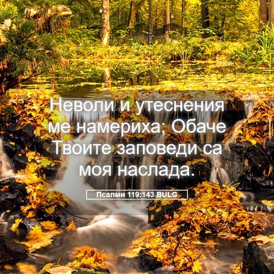Picture 05 - Псалми 119:143 BULG - Неволи и утеснения ме - Bible Verse Picture