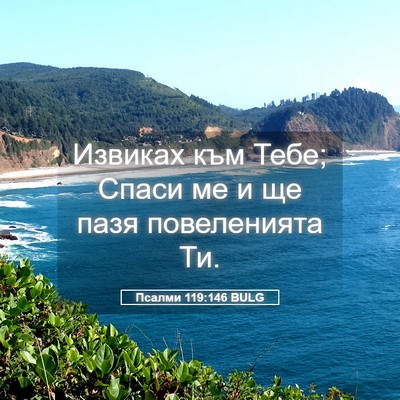 Picture 05 - Псалми 119:146 BULG - Извиках към Тебе; Спаси ме - Bible Verse Picture