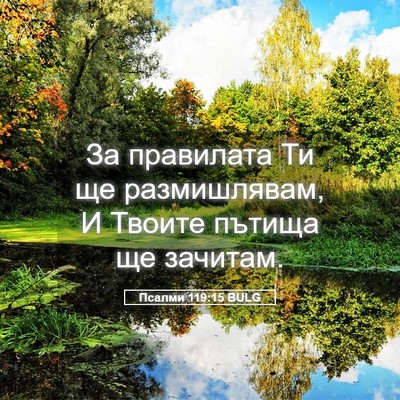 Picture 05 - Псалми 119:15 BULG - За правилата Ти ще - Bible Verse Picture
