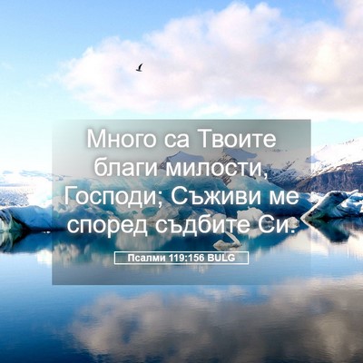 Picture 05 - Псалми 119:156 BULG - Много са Твоите благи - Bible Verse Picture