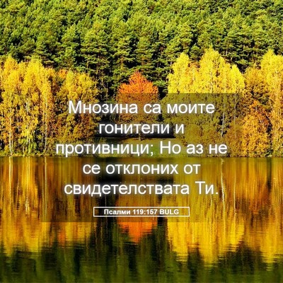 Picture 05 - Псалми 119:157 BULG - Мнозина са моите гонители - Bible Verse Picture