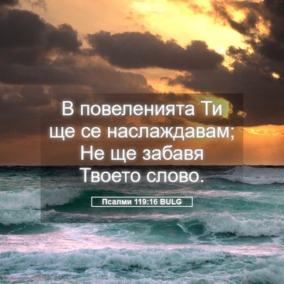 Picture 05 - Псалми 119:16 BULG - В повеленията Ти ще се - Bible Verse Picture